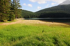 Parco Nazionale del Durmitor - Lago Nero - Zabljak400DSC_3205